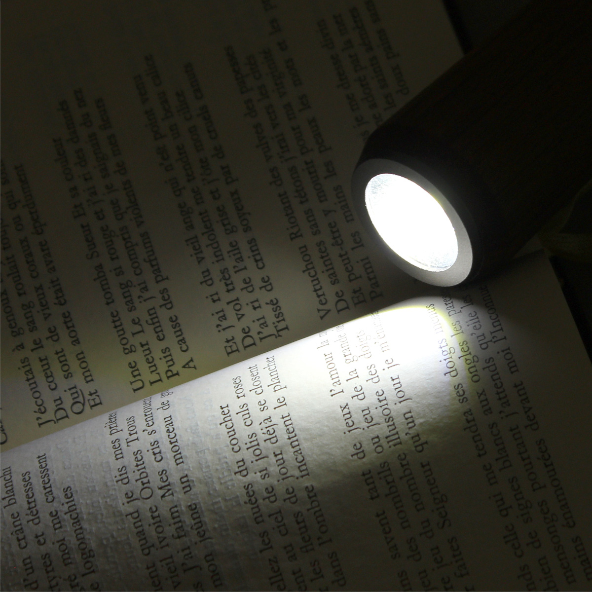 やさしい手触りで温もりをプラス。 木製LED懐中電灯「LED HANDY LIGHT」