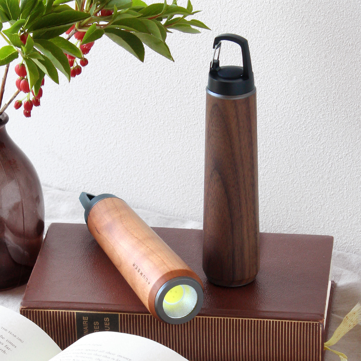 LED HANDY LIGHT
