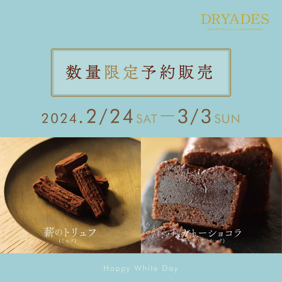 【福井店】ホワイトデーもチョコは嬉しい★DRYADESチョコレート予約受付中！