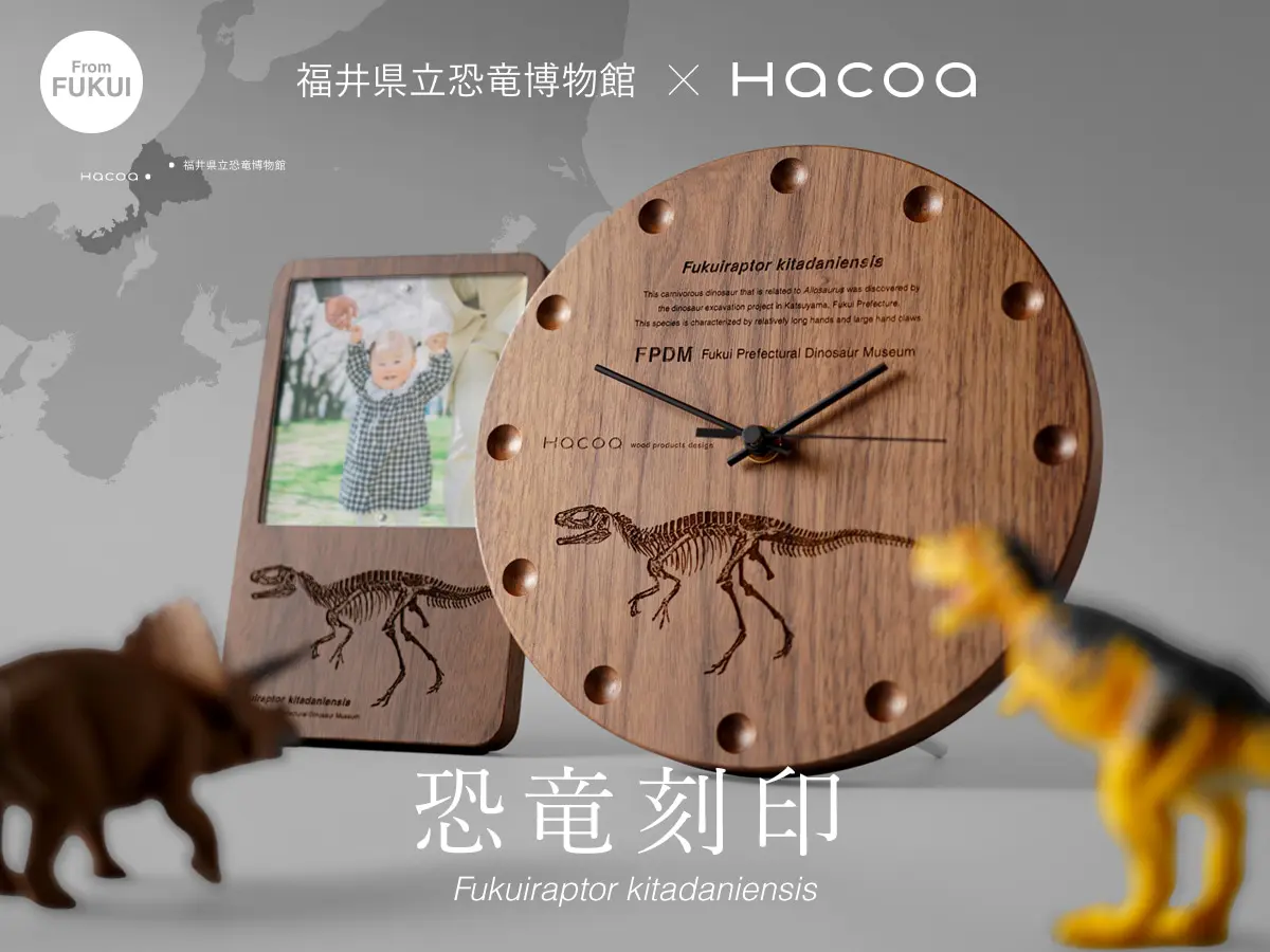 福井県立恐竜博物館 監修アイテム | 木製雑貨店 Hacoaダイレクト