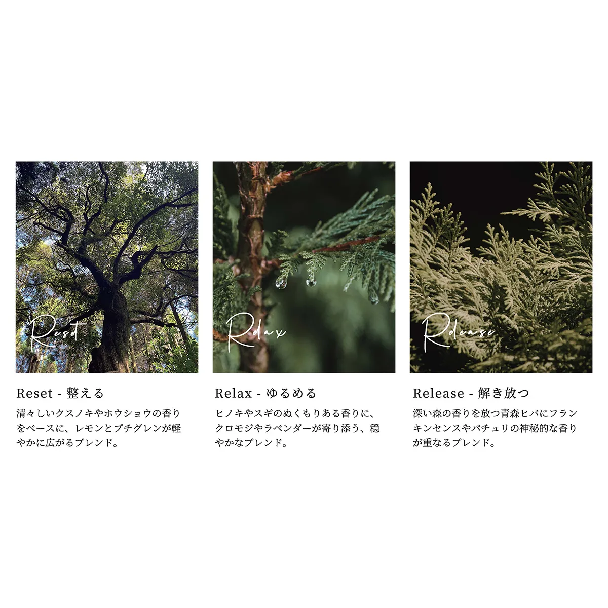 天然精油の空間用アロマミスト「aroma to R アロマミスト」