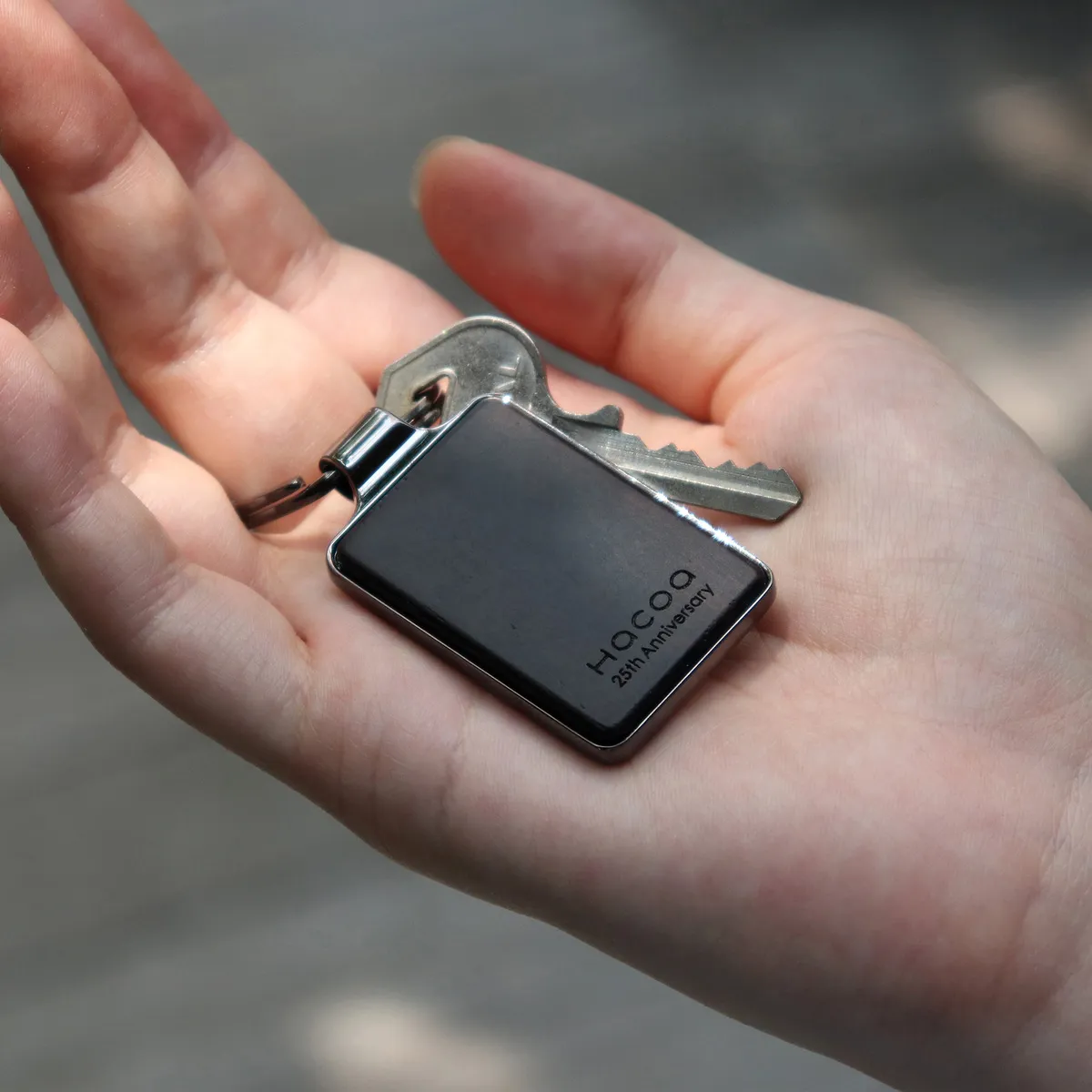 【数量限定】25周年記念品 希少な銘木が織りなす、特別な木製キーホルダー「KEYRING 001（パロサント・シャムガキ）」
