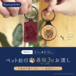 ルクア大阪店 | 木製雑貨店 Hacoaダイレクトストア